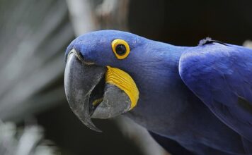 Jaka jest największa szkoła w Polsce? Jaka jest największa szkoła w Polsce?