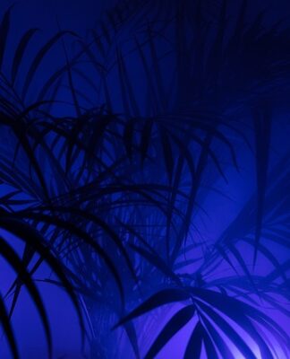 Czy pieniądze z PPK mogą przepaść?