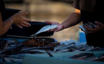 Jak efektywnie sprzedawać przez telefon?