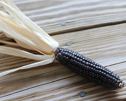 Co zabrać na selekcję?