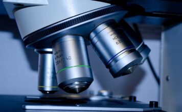 Czy warto studiować w Belgii?