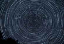 Jak obliczyć obrót firmy wzór?