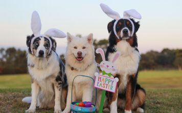 Dlaczego fińskie dzieci uczą się najlepiej?