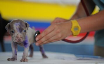 Co warunkuje proces kształcenia? Co warunkuje proces kształcenia?
