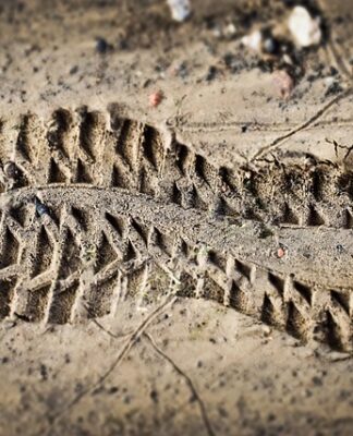 Czy nauczyciel widzi oceny z innych przedmiotów?