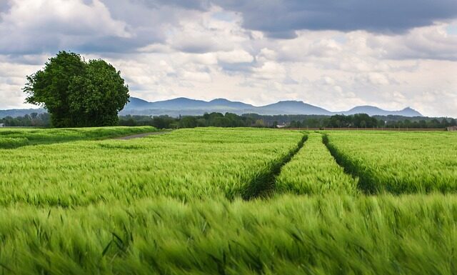 Jak wzmocnić kolana po kontuzji? Jak wzmocnić kolana po kontuzji?